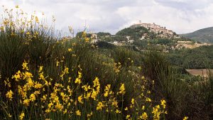 Monte Santa Maria Tiberina