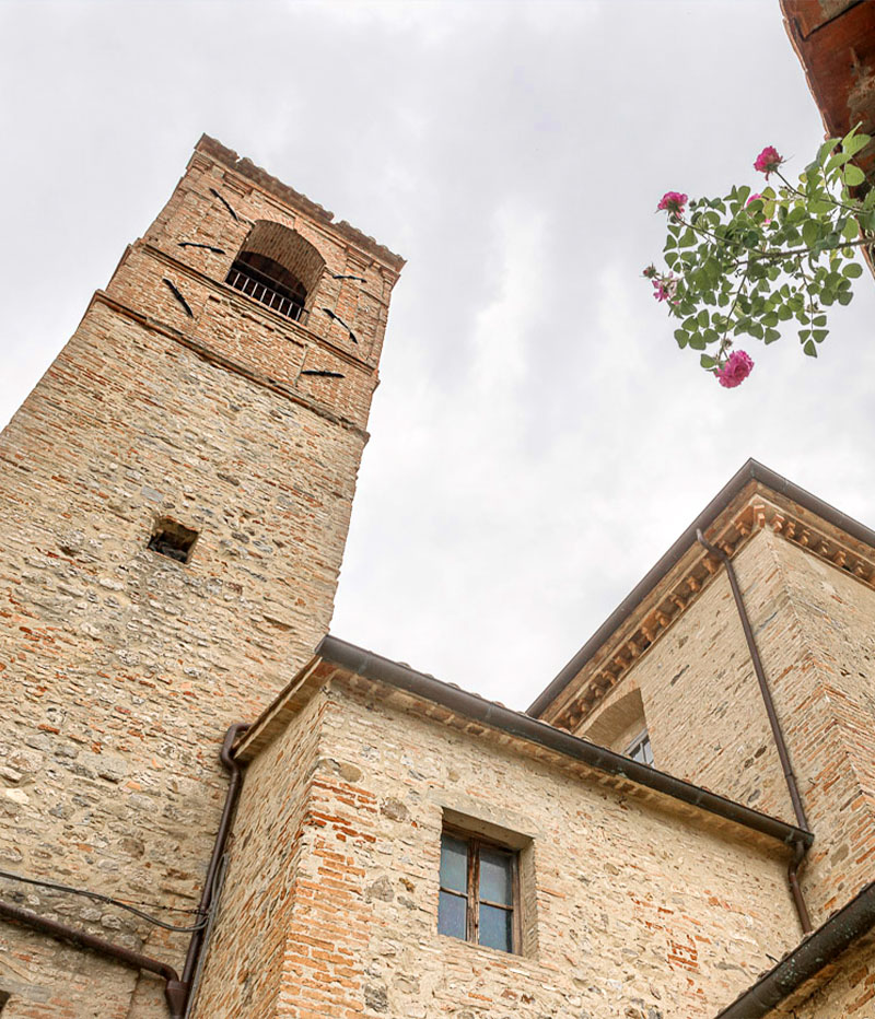 Montone